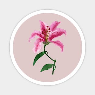 Tropical flowers Magnet